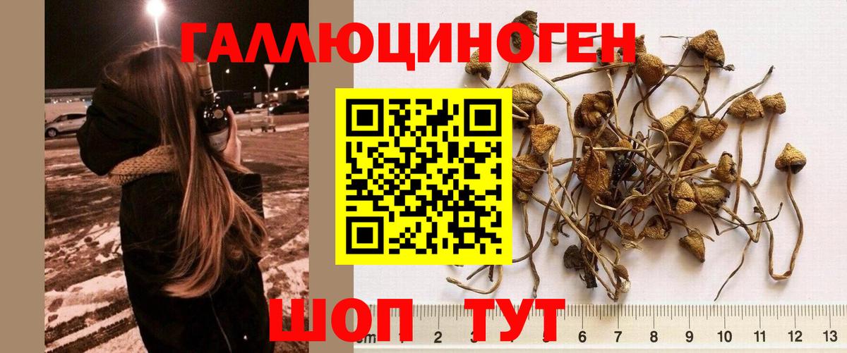Псилоцибиновые грибы MAGIC MUSHROOMS Десногорск